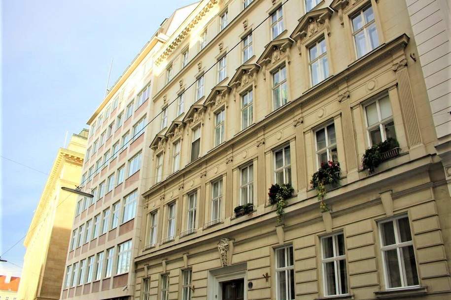 SCHWARZSPANIERSTRASSE, topgepflegte 144 m2 Altbau, 4 Zimmer, Wohnküche, 2 Bäder, Parketten; 3. Liftstock, U-Bahn-Nähe, Wohnung-miete, 2.499,00,€, 1090 Wien 9., Alsergrund