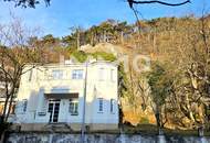 Generalsanierte historische Villa auf außergewöhnlichem Grundstück