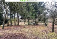 Großzügiges Grundstück in Spattenberg – Gemeinde Alberndorf in der Riedmark