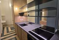 Purer Luxus in der Bellariastraße!