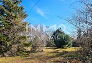 Bauträger oder Privatperson: Traumhaftes, großes Grundstück mit Altbaumbestand in ruhiger Lage