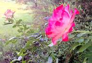 See-Villa mit Chic, Charme und intimer Freiluftatmosphäre - ein Juwel im Kamptal/Idolsberg