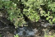 Haus in idyllischer Grünlage