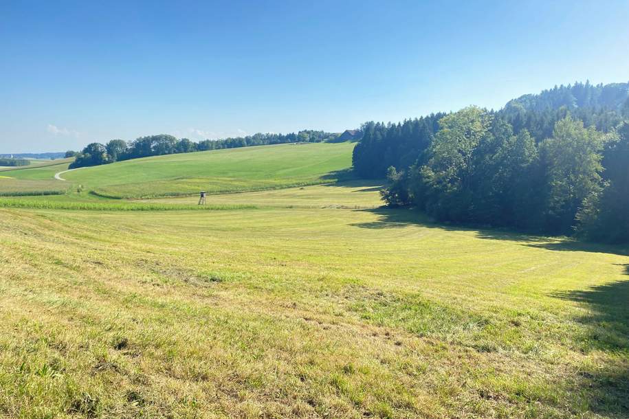 LW-Nutzgrund mit Waldanteil, Grund und Boden-kauf, 4761 Schärding