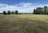 Einmalige Gelegenheit: Großzügiges Grundstück umgeben von Äckern mit Baulandanteil und Weitblick