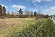 Großzügiges Grundstück ohne Bauzwang – Ideal für Gewerbe &amp; Investoren