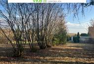 Großzügiges Grundstück in Spattendorf - Gemeinde Alberndorf in der Riedmark (GST 2443/1)