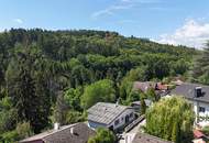 Rarität // Südhang // Bach // Biotop // absolute Ruhelage an der Waldgrenze