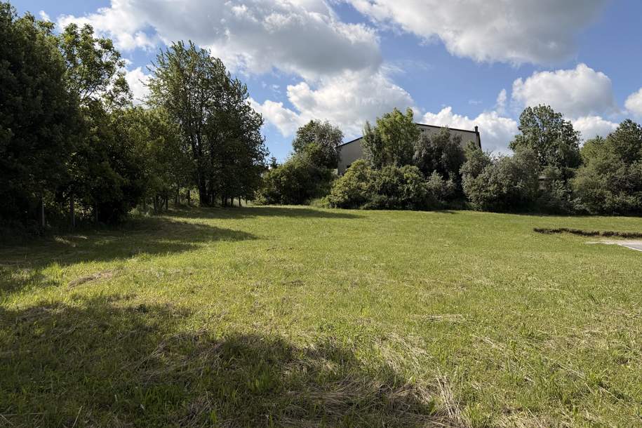 Baugrundstücke in Zentrumsnähe, Grund und Boden-kauf, 4150 Rohrbach