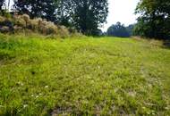 Traumhaftes Baugrundstück Nähe Weitra: 1.250 m² warten auf Sie