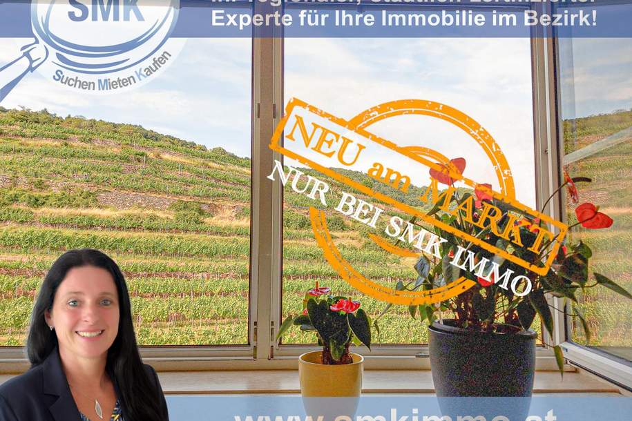 Wohnung mit Lebensqualität und Anlagepotenzial!, Wohnung-kauf, 225.000,€, 3610 Krems(Land)