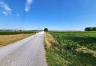 Nicht zu groß, nicht zu klein - Miethaus mit 3 Zimmer und 75m² Wohnfläche in Mannersdorf/Leithagebirge