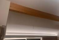 VILLA "DOBRATSCH" - Wohnen im NACHHALTIGSTEN WOHNPROJEKT von Süd-Kärnten...