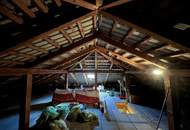 Ihr Anwesen im Wienerwald – Ruhelage und Altbaumbestand – Infrastruktur fußläufig