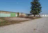 GIGANTISCH gesucht? HIER RICHTIG