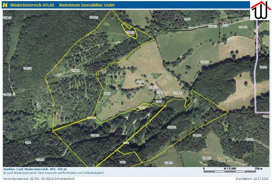 Wald 28,3 ha bei Schwarzenbach/Pielach