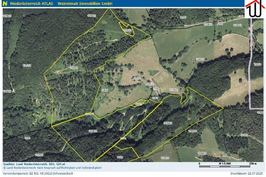 Wald 28,3 ha bei Schwarzenbach/Pielach, Gewerbeobjekt-kauf, 560.000,€, 3212 Sankt Pölten(Land)