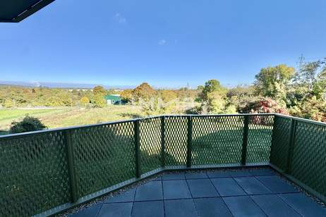 Hirschfeld: Neu und provisionsfrei - Schnäppchen Hit mit Balkon, Wohnung-kauf, 270.000,€, 1210 Wien 22., Donaustadt