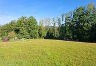 Großes Grundstück in Sankt Martin im Mühlkreis - kein Bauzwang