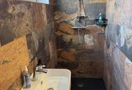 Attraktive 4-Zimmer-Wohnung, Kamin, Infrarotkabine, renovierter Keller, Garage