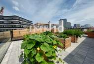 Gemeinschaftsdachterrasse, Partyküche und vieles mehr! Provisionsfrei! Urban gardening.