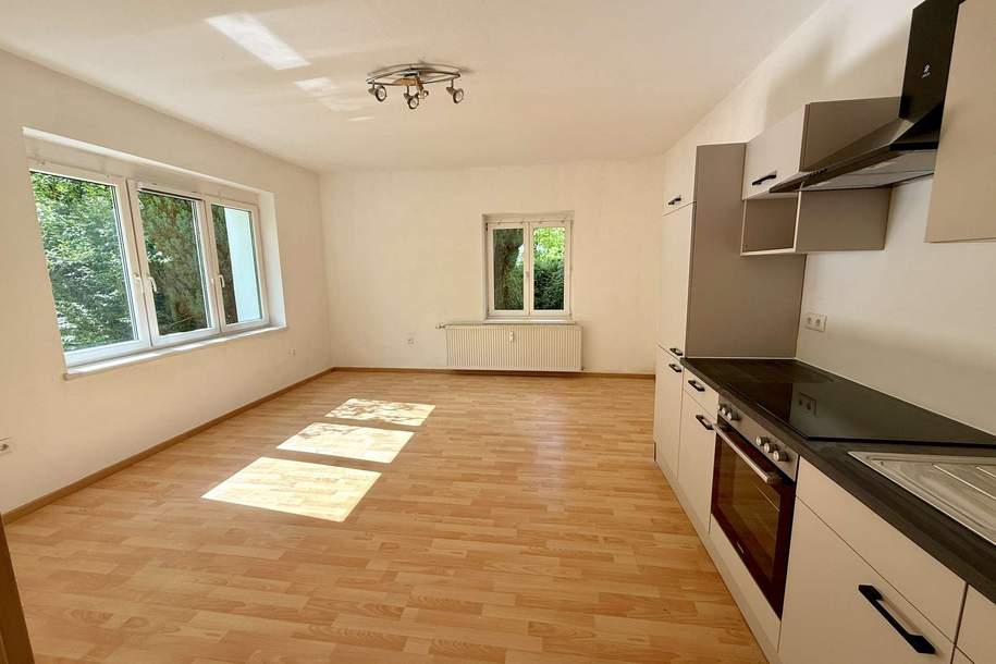 Helle 42m² große Wohnung südlich von Wolfsberg zu vermieten!, Wohnung-miete, 460,00,€, 9400 Wolfsberg