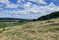Bad Waltersdorf: Weinberge, Ackerflächen und Wald für experimentierfreudige Winzer oder Landwirte mit Vision