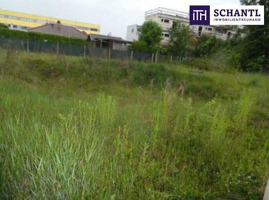 NEUER PREIS! SELTENHEIT IN TOP-LAGE! Baugrundstück in ruhiger Seitengasse in Seiersberg – Ihr Traumgrund wartet auf Sie!