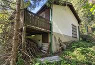 Skifahren - Sommerfrische - Wandern - Mountainbiken: Ferienhaus mit Potenzial!