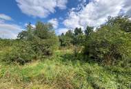 Kleinsitzendorf: Baugrund voller Möglichkeiten – Traumplatz, Traumidee, Traum wird wahr!