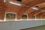 Freie Flächen in der Lederfabrik Linz ab 38 m2 bis 254 m2 Toplage ,viele Parkplätze,, Praxis,