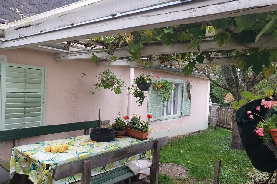Größere Immobilie im Thermengebiet! Vielseitig nutzbares Haus!, Haus-kauf, 229.000,€, 8271 Hartberg-Fürstenfeld