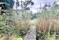 Idyllisches Wohnen mit Gartenparadies und zusätzlichem Grundstück in Bestlage Bad Fischau Brunn.