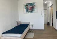 möblierte 30m2 Wohnung Innenstadt Linz-Landstrasse (Provisionsfrei)