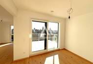 Prachtexemplar an der unteren alten Donau !