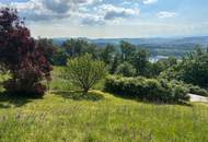 EINZIGARTIGER AUSBLICK