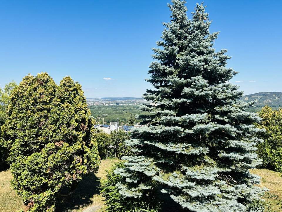 Exklusive Liegenschaft mit Fernblick in Klosterneuburg am Ölberg – Anlageobjekt