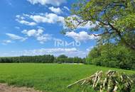 Betriebsbaugrund mit 4.872 m² direkt an der B1 auch erweiterbar!