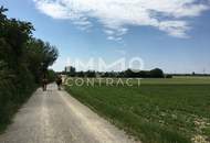 Zwei verbundene Wohnungen! Ideal für Mehrgenerationen, Homeoffice oder Vermietung