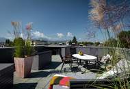 In der letzten Nachricht war von einer Einzimmerwohnung mit geräumiger Terrasse die Rede!