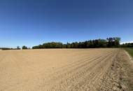Attraktive Landwirtschaftsfläche in Eggendorf im Traunkreis