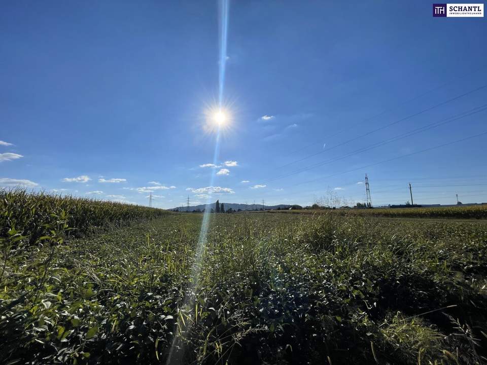 TOLLE GELEGENHEIT! Gewerbegrundstück für SIE - ca. 1,5 ha großes GEWERBEGRUNDSTÜCK 0,3 - 2,0 Dichte mit direkter Nähe zur Autobahn und zur Eisenbahn! Alternativen in der Umgebung auch verfügbar!