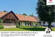 Gleisdorf: 5.000 m2 Bauland (WA 0,2-0,4) | ehemaliger Bauernhof | viel Platz für viele Möglichkeiten
