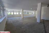 Ihr Büro in Hietzinger Bestlage