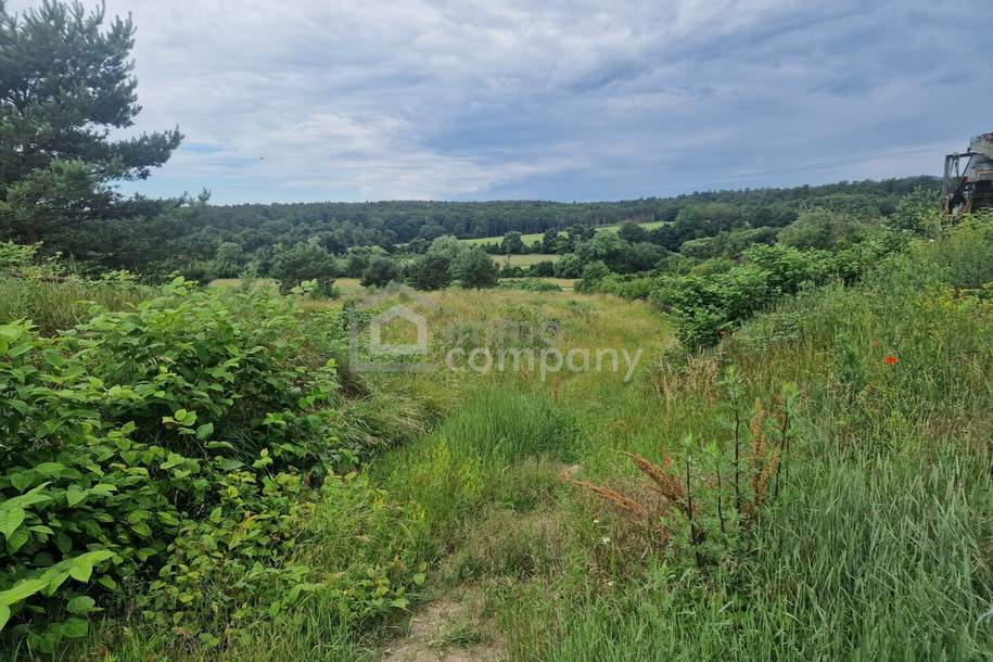 Rarität - Grund mit Teilwidmung Reitplatz/Reitanlage - 10.360 m² um nur 140.000 €!, Grund und Boden-kauf, 140.000,€, 7321 Oberpullendorf