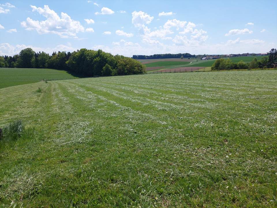 landwirtschaftlicher Grund mit guter Anbindung