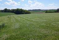 landwirtschaftlicher Grund mit guter Anbindung