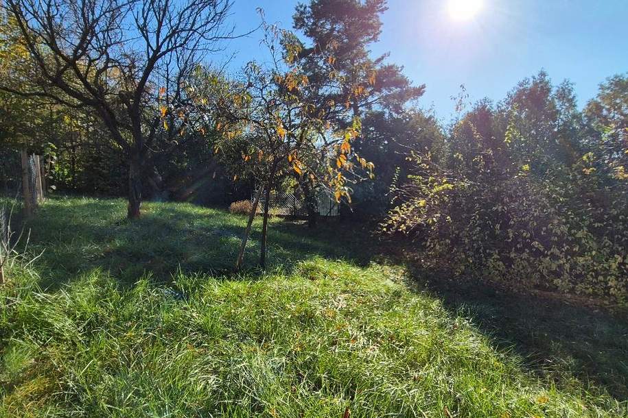 BAUGRUND MIT BLICK AUF DIE BURG, Grund und Boden-kauf, 163.000,€, 3040 Sankt Pölten(Land)