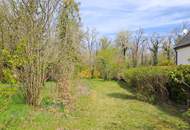 Baugrund am Waldrand
