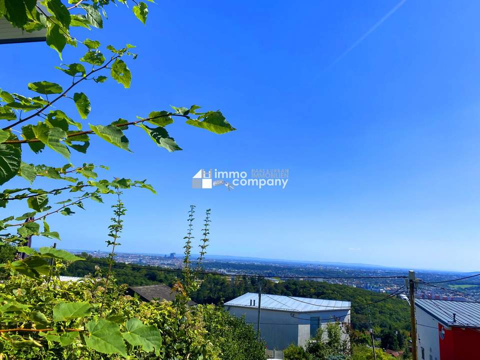 In die Ferne schweifen. -Das Panorama-Grundstück